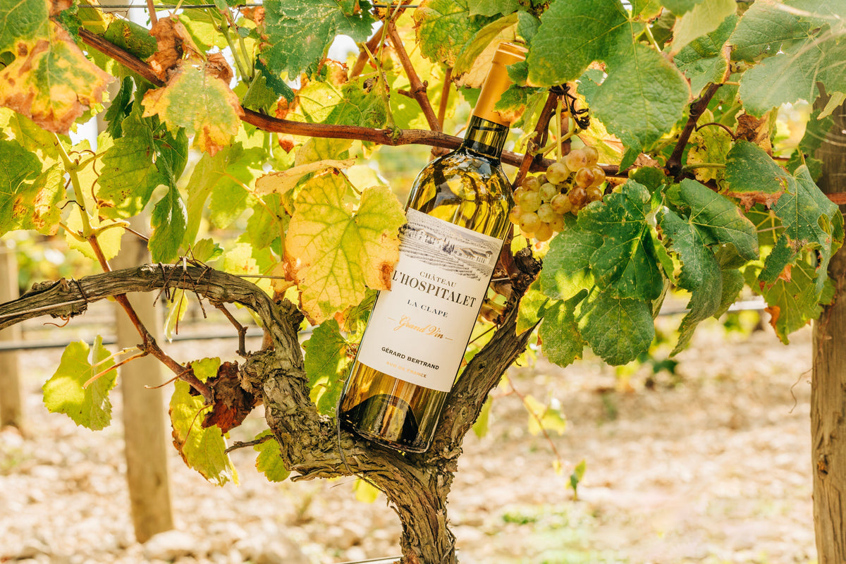 Château l'Hospitalet Grand Vin