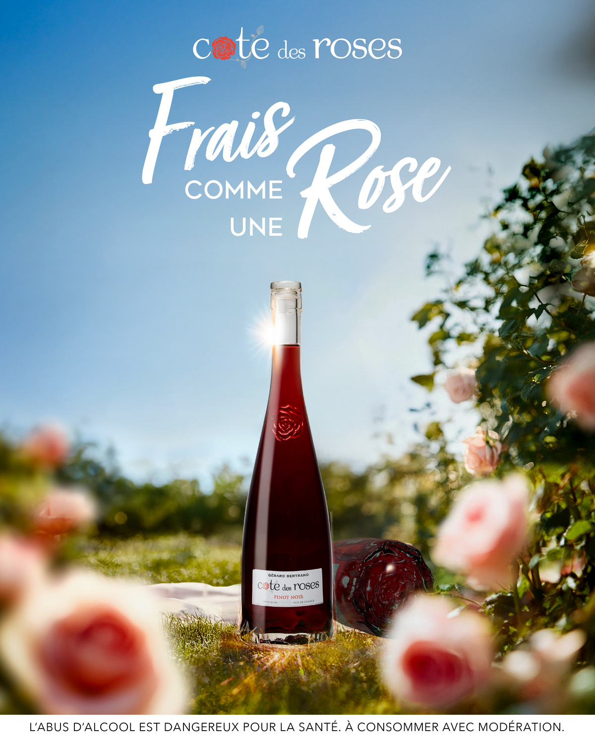 Cote des Roses Pinot noir 2023 75cl rode wijn - Gérard Bertrand