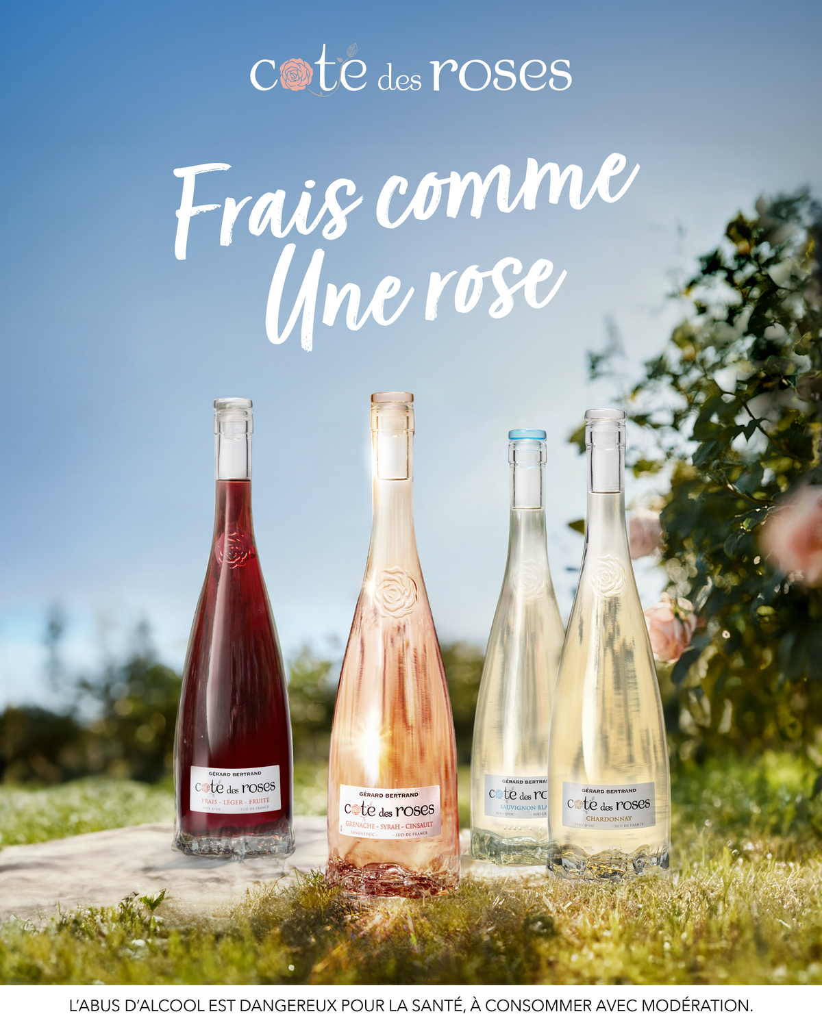 Geschenkdoos Cote des Roses rosé, Pinot noir en Chardonnay