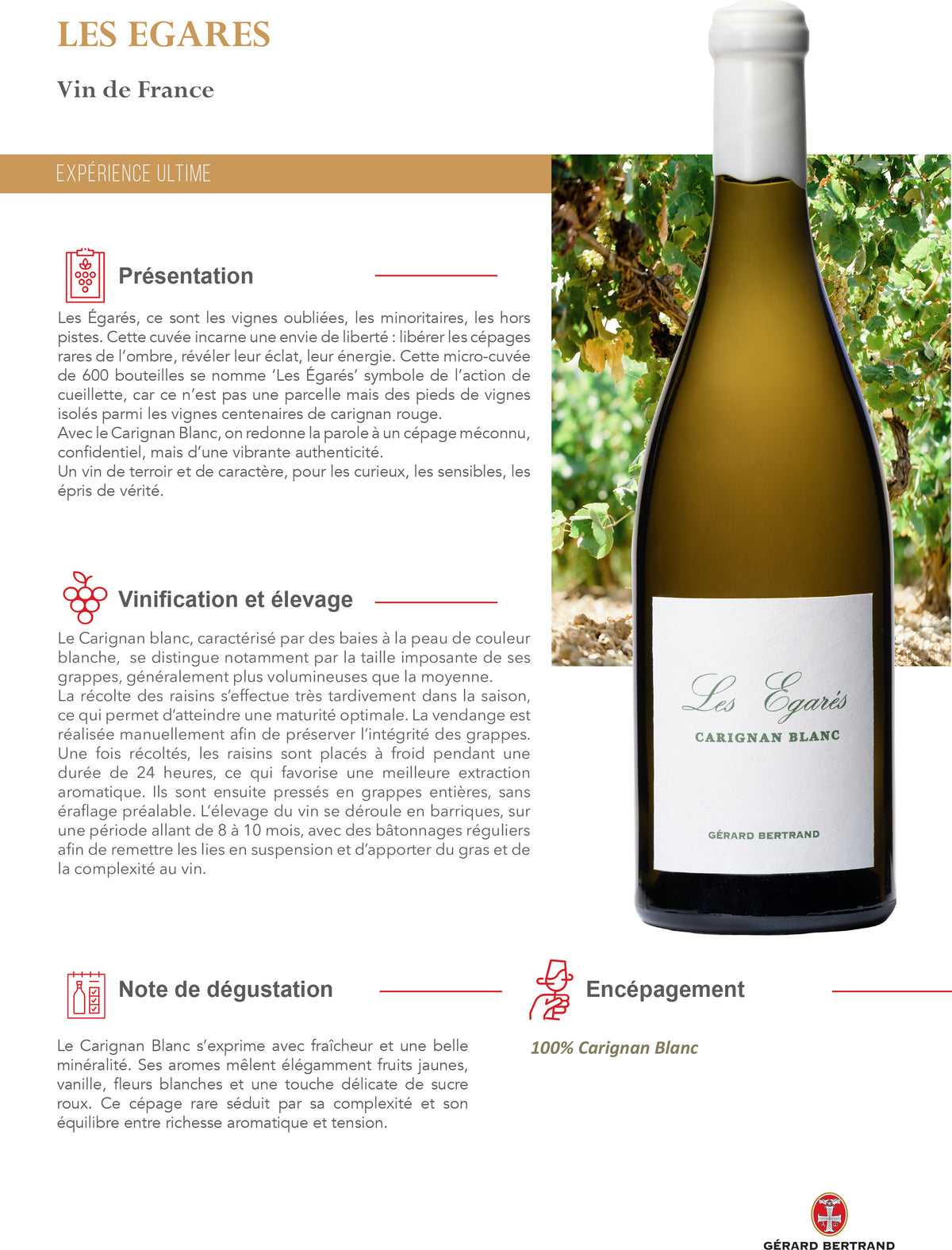 Les Égarés Carignan Blanc 2023 75cl Individuele Houten Kist - Gérard Bertrand