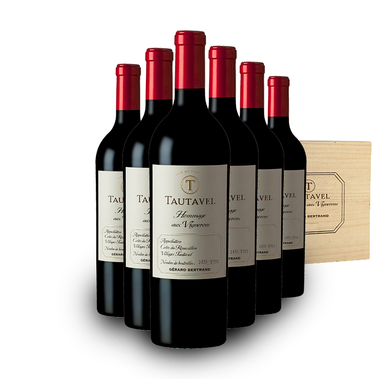 Tautavel Hommage aux vignerons 2022 75cl Houten Kist 6 Flessen - Gérard Bertrand