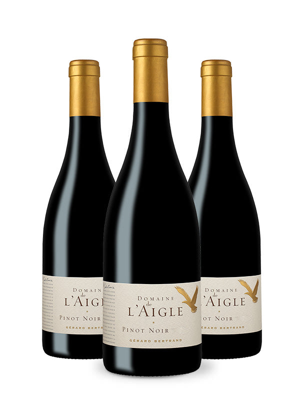 Domaine de l'Aigle Pinot Noir IGP Haute Vallée de l'Aude 2024 – pakket van 3 flessen 75cl rode wijn