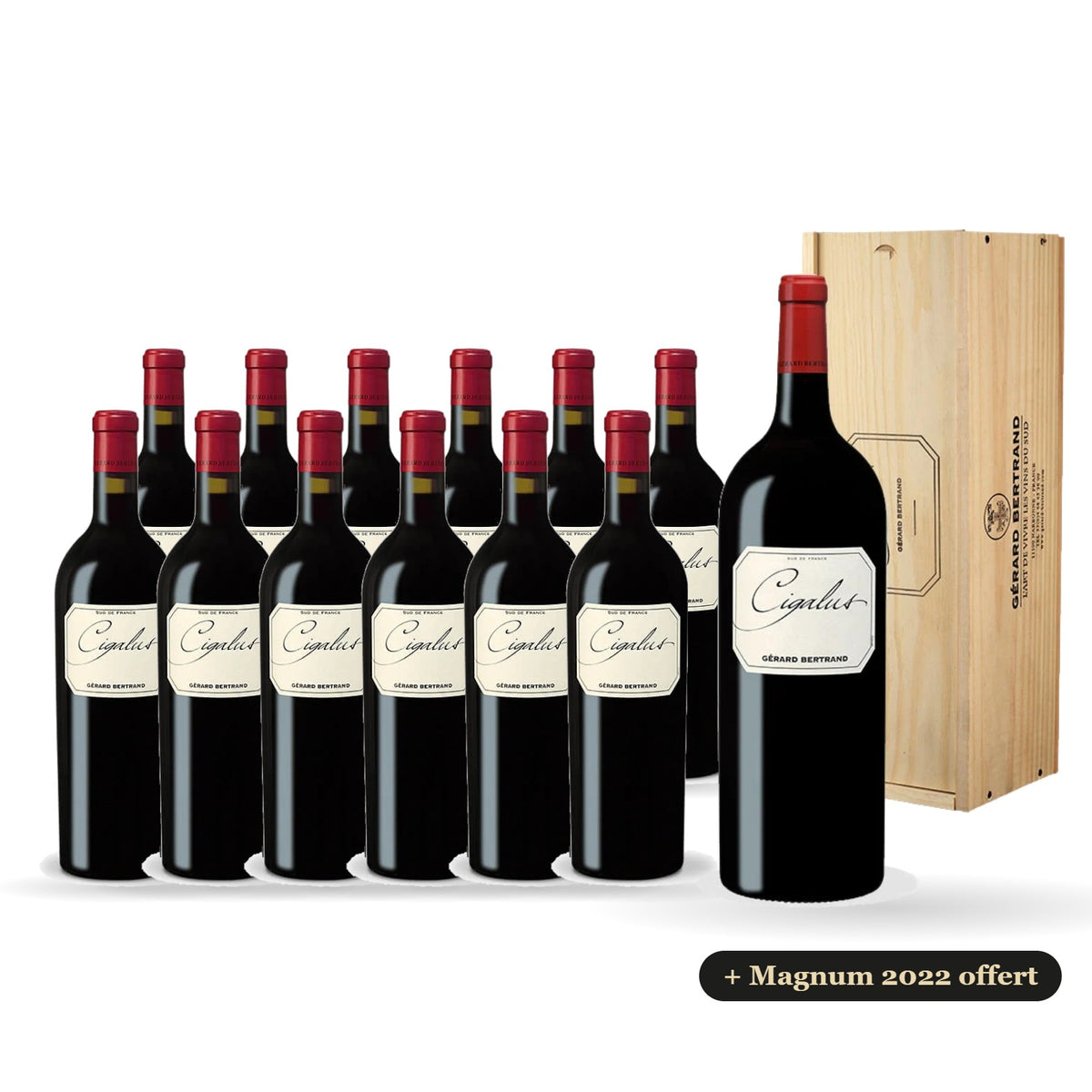 Set van 12 flessen Cigalus rood 2023 met een gratis magnum Cigalus rood 2022 in een houten kist
