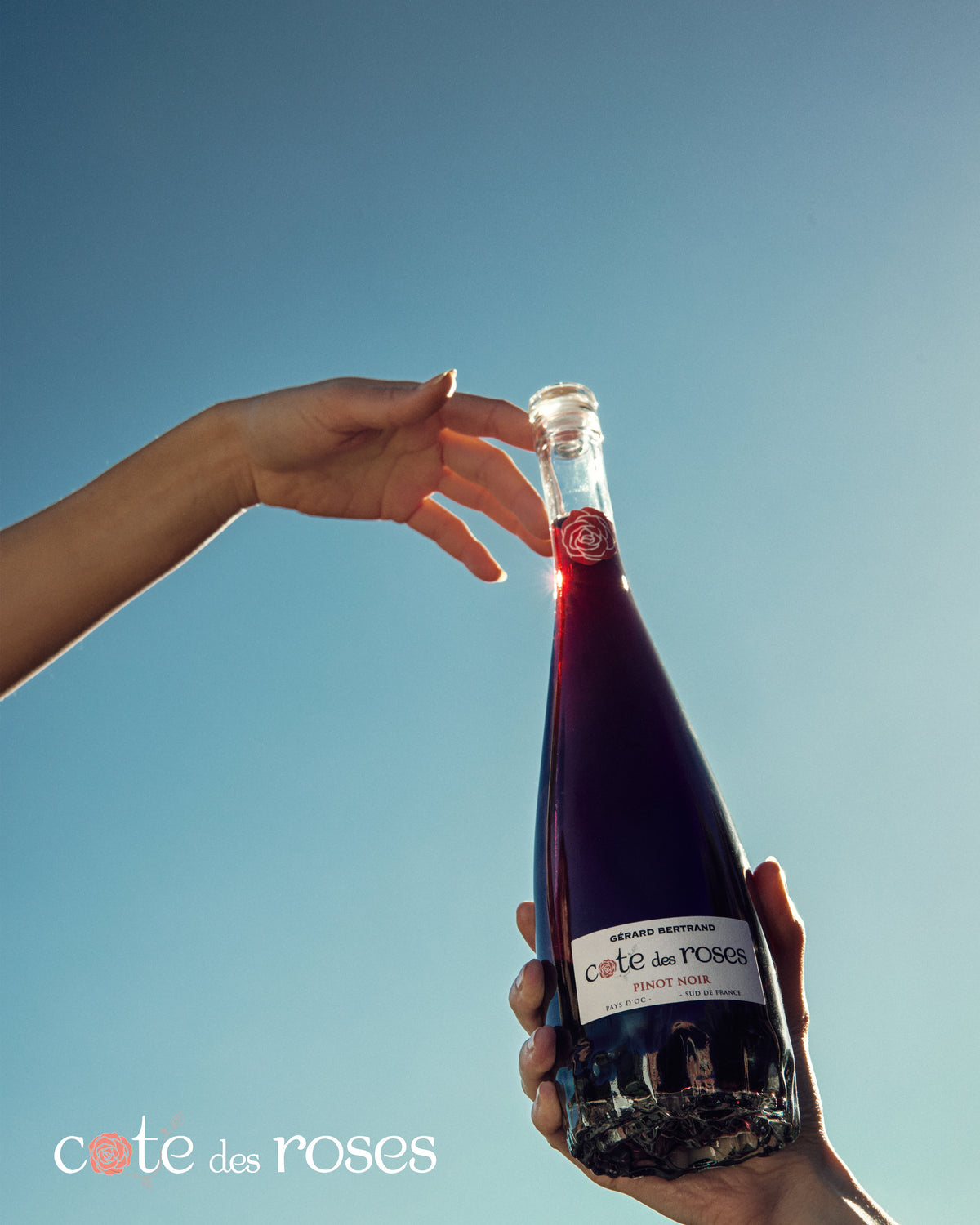 Cote des Roses Pinot noir rode wijn 6 halve flessen 37,5cl 2022 - Gérard Bertrand 
