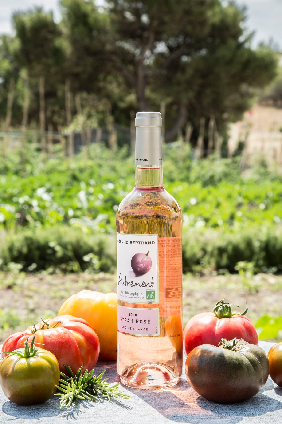Autrement Grenache IGP Pays d'Oc 2025 – pakket van 6 flessen 75cl roséwijn