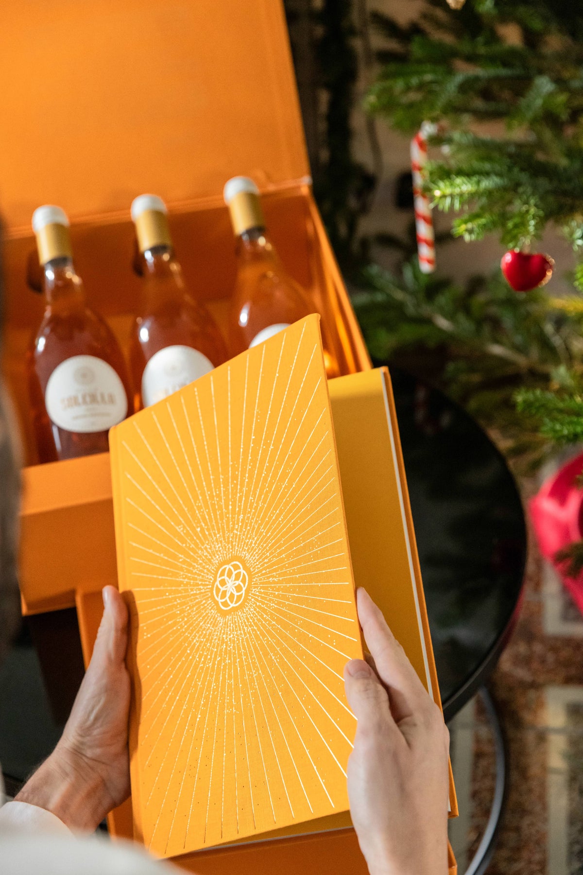 Geschenkdoos Villa Soleilla met zijn collector-boek