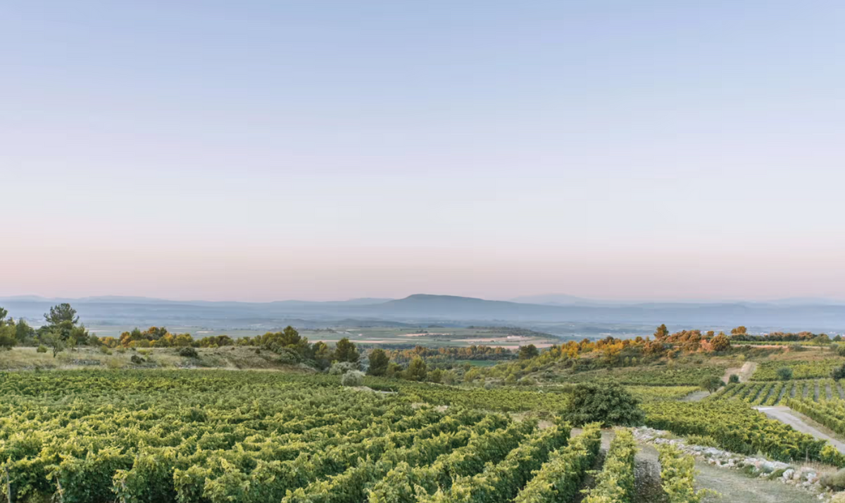 Minervois Occitanie