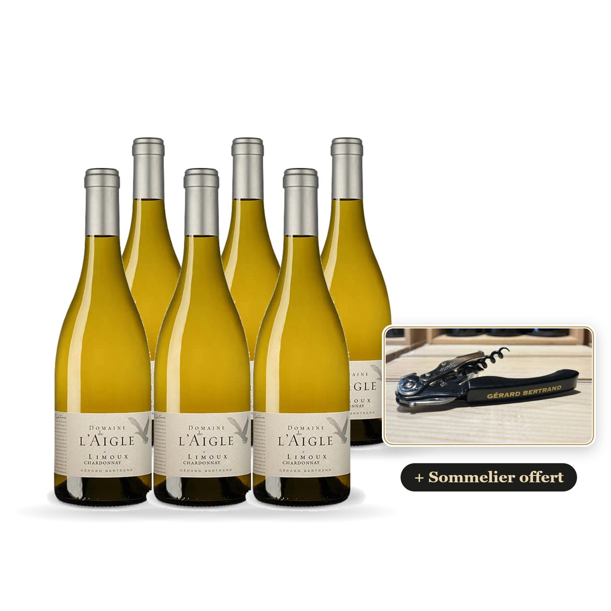 Set van 6 flessen Domaine de l'Aigle Chardonnay 2024 met gratis Gérard Bertrand-sommeliersmes