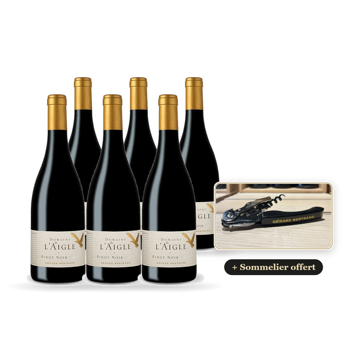 Set van 6 flessen Domaine de l'Aigle Pinot Noir 2024 met gratis Gérard Bertrand-sommeliersmes