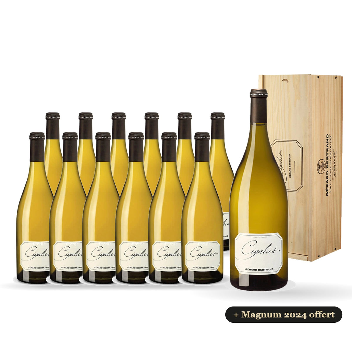 Set van 12 flessen Cigalus wit 2025 met een gratis magnum Cigalus wit 2024