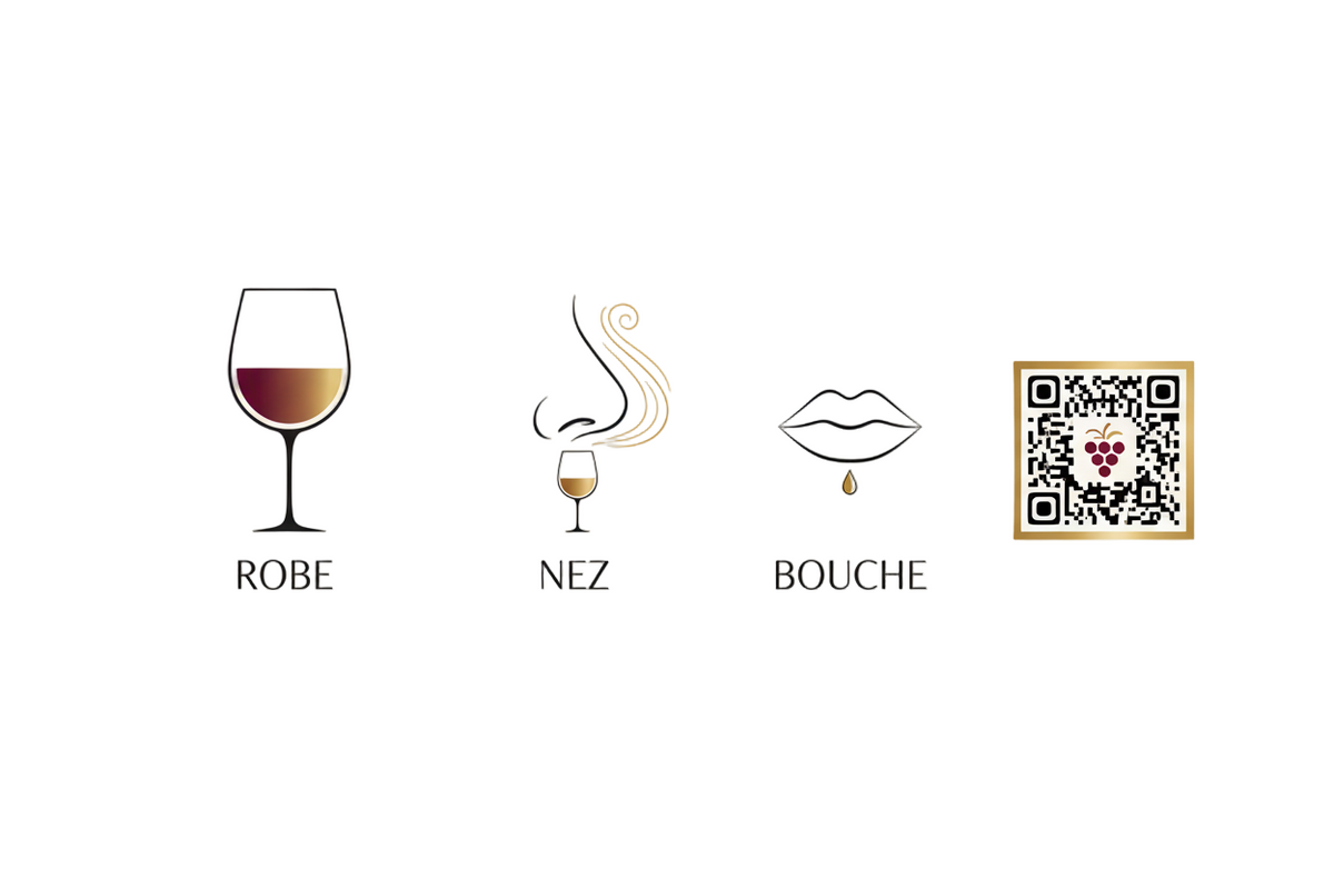 picto wijnproeverij kleur neus mond qr-code