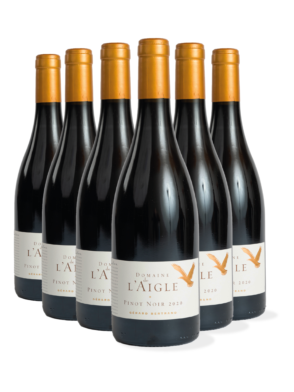 Domaine de l'Aigle Pinot Noir 2023 Lot 6 flessen 75cl - Gérard Bertrand 