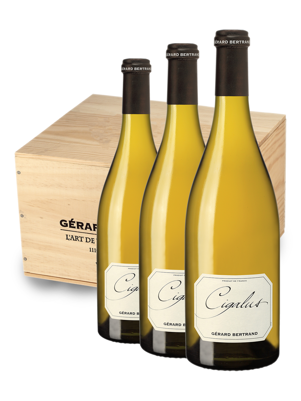 Cigalus 2024 75cl biodynamische witte wijn houten kist 6 flessen - Gérard Bertrand 
